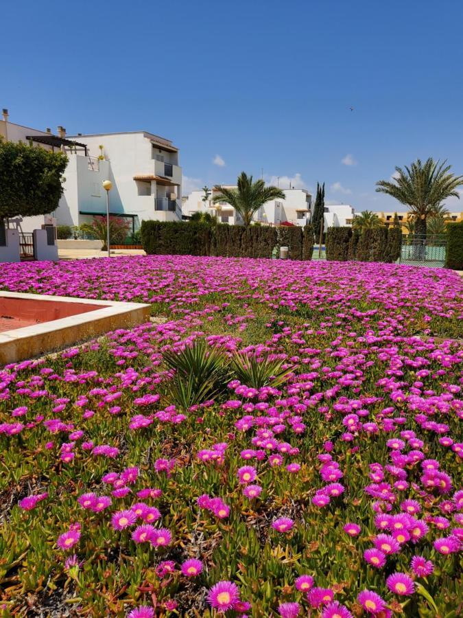 Apartamento Naturista En Primera Linea En Natura World! 维拉 外观 照片