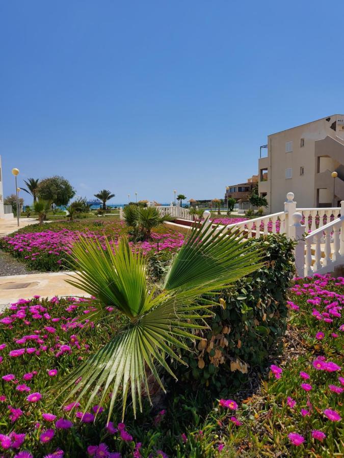 Apartamento Naturista En Primera Linea En Natura World! 维拉 外观 照片